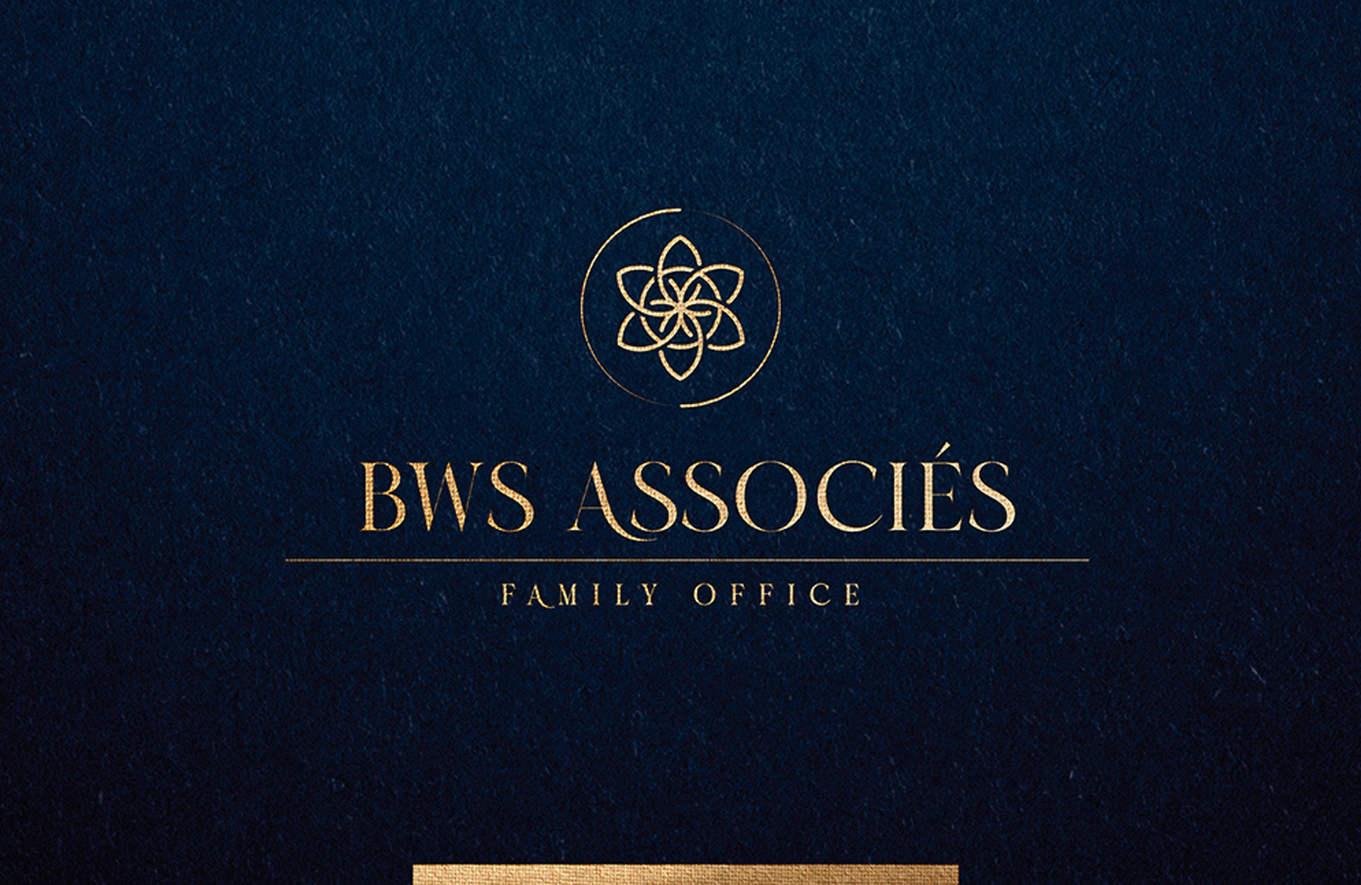 Logo bws associés