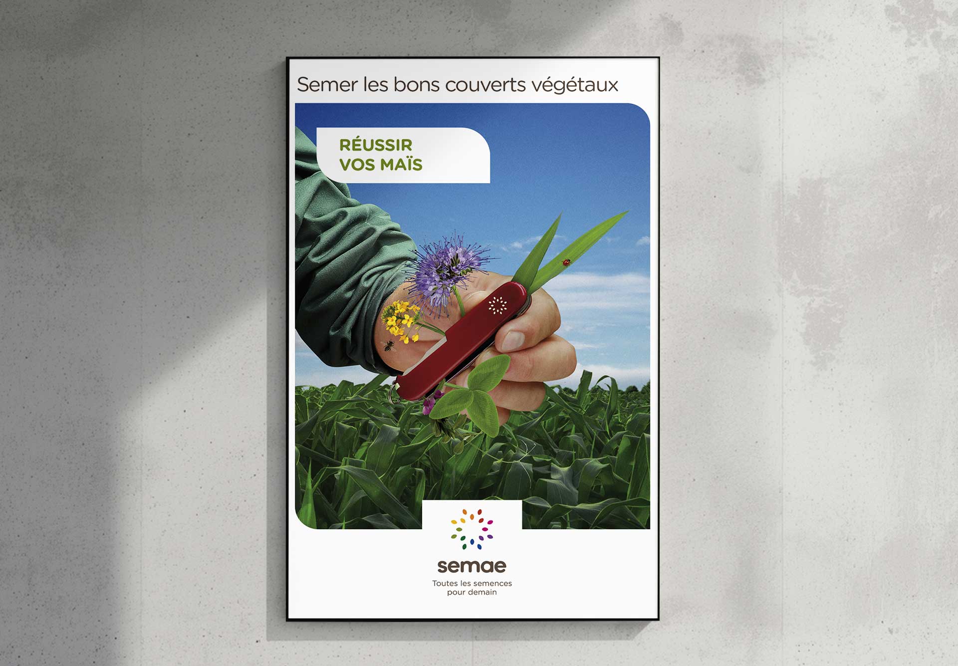 affiche semae